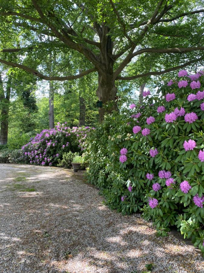 Bed And Breakfast Villa Beldershoek Hengelo  Exteriör bild